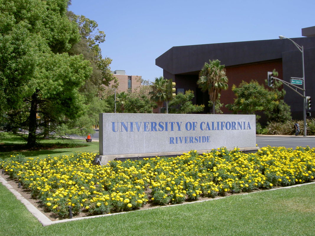 Traditions of the University of California Schools Niche Blog